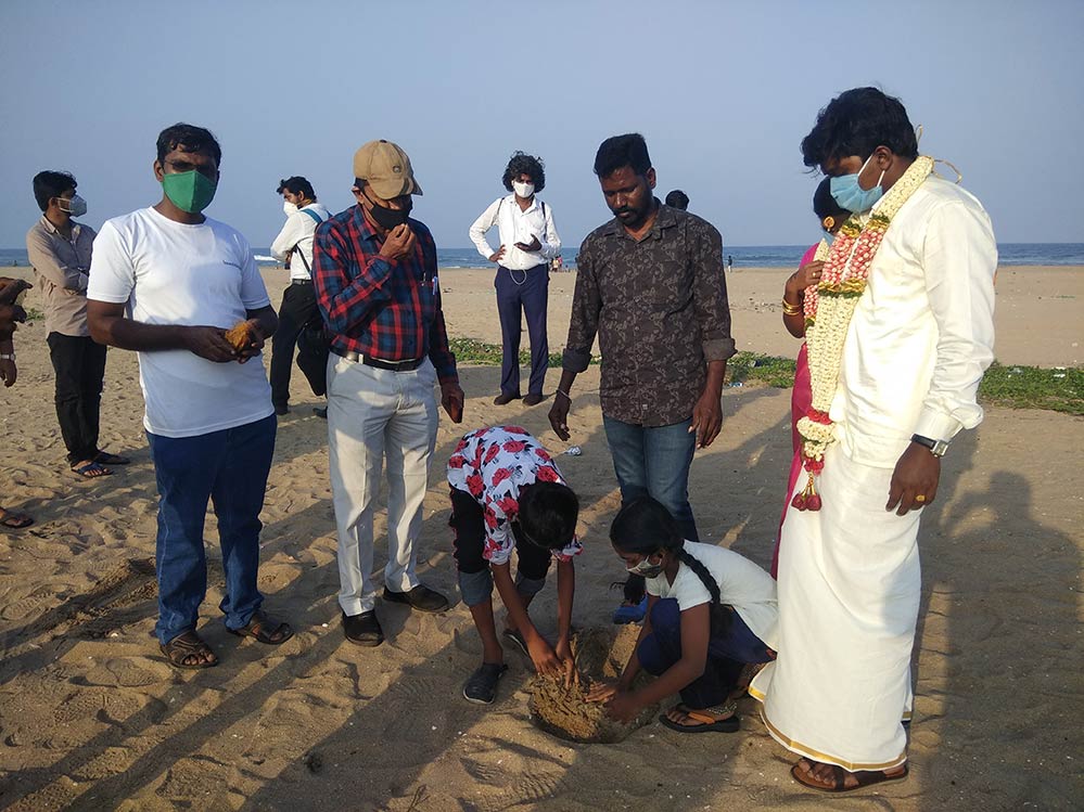 1st-plam seed plantation loyola mani