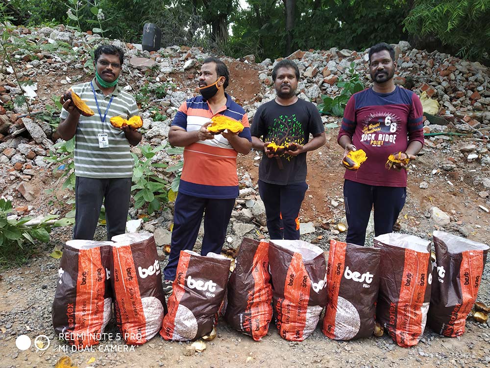 plam seeds collection anna university