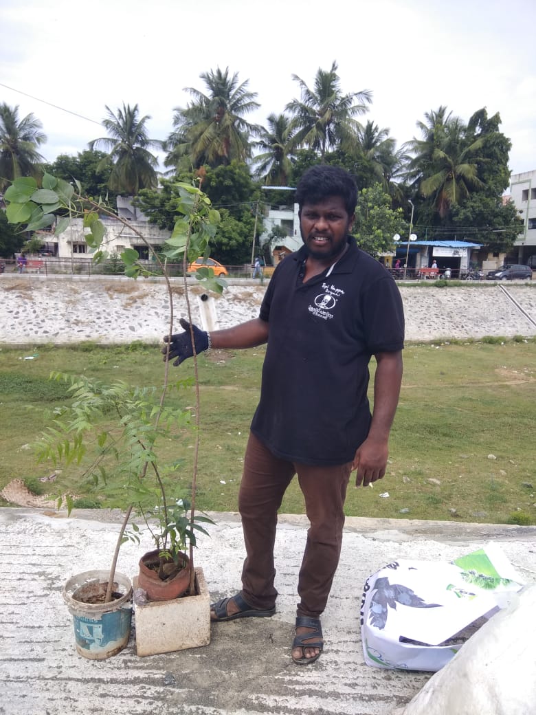 More than 2,000 seeds were planted. One who came for walking impressed with our Project. He gave us 2 plants and asked us to plant them.